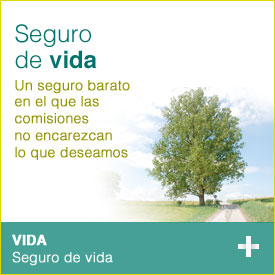 Image Caption